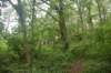 dsc_2484_fs_small.jpg
