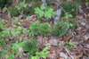 dsc_2498_fs_small.jpg