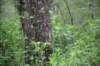 dsc_2499_fs_small.jpg