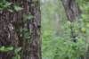 dsc_2500_fs_small.jpg