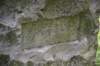 dsc_2503_fs_small.jpg