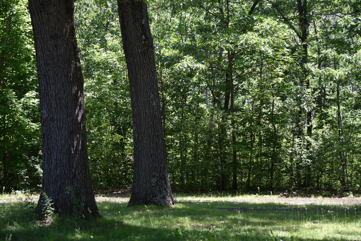 dsc_6844_fs.jpg
