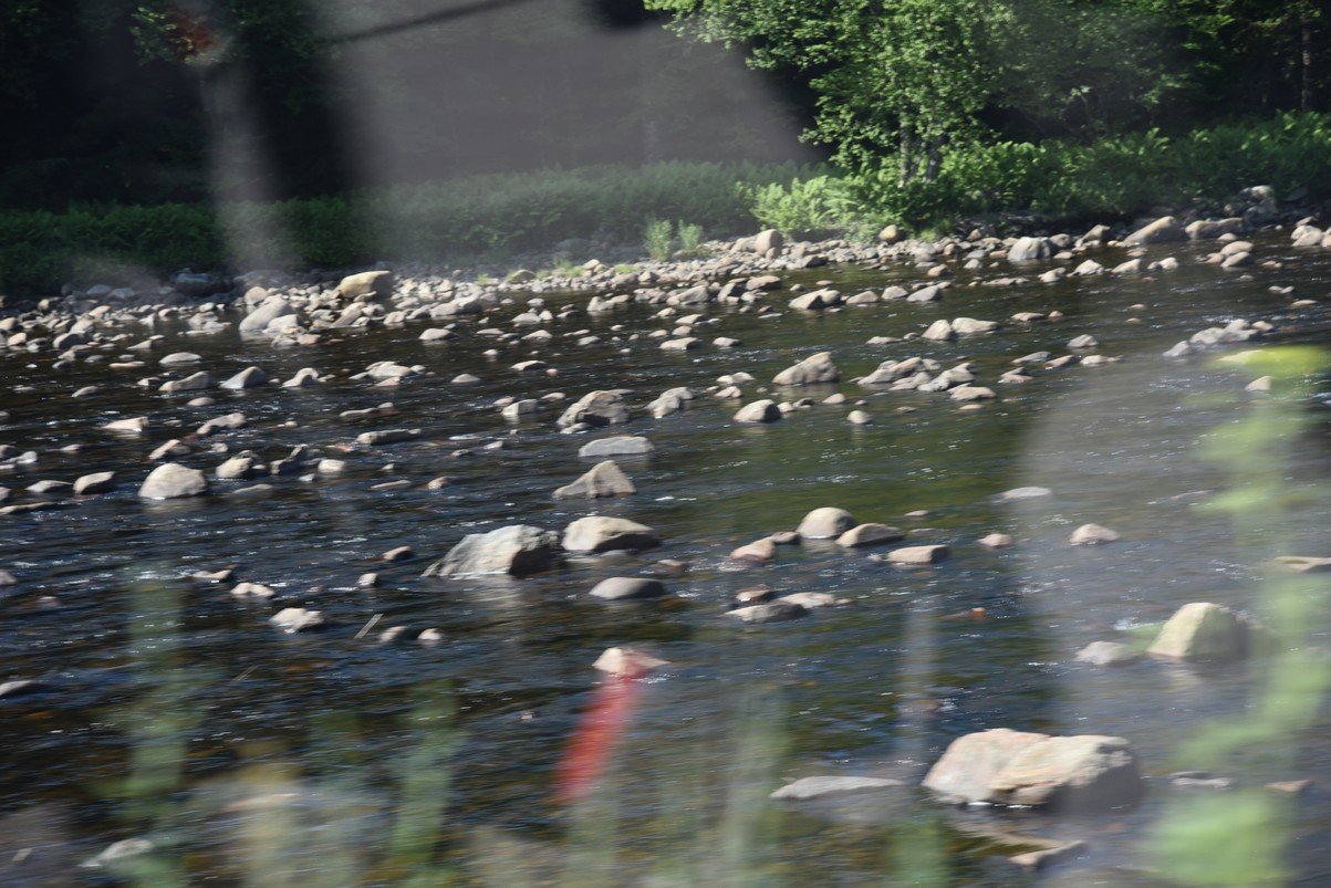 dsc_7000_fs.jpg