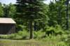 dsc_7001_fs_small.jpg
