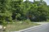 dsc_7013_fs_small.jpg