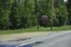 dsc_7014_fs_small.jpg