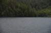 dsc_7035_fs_small.jpg