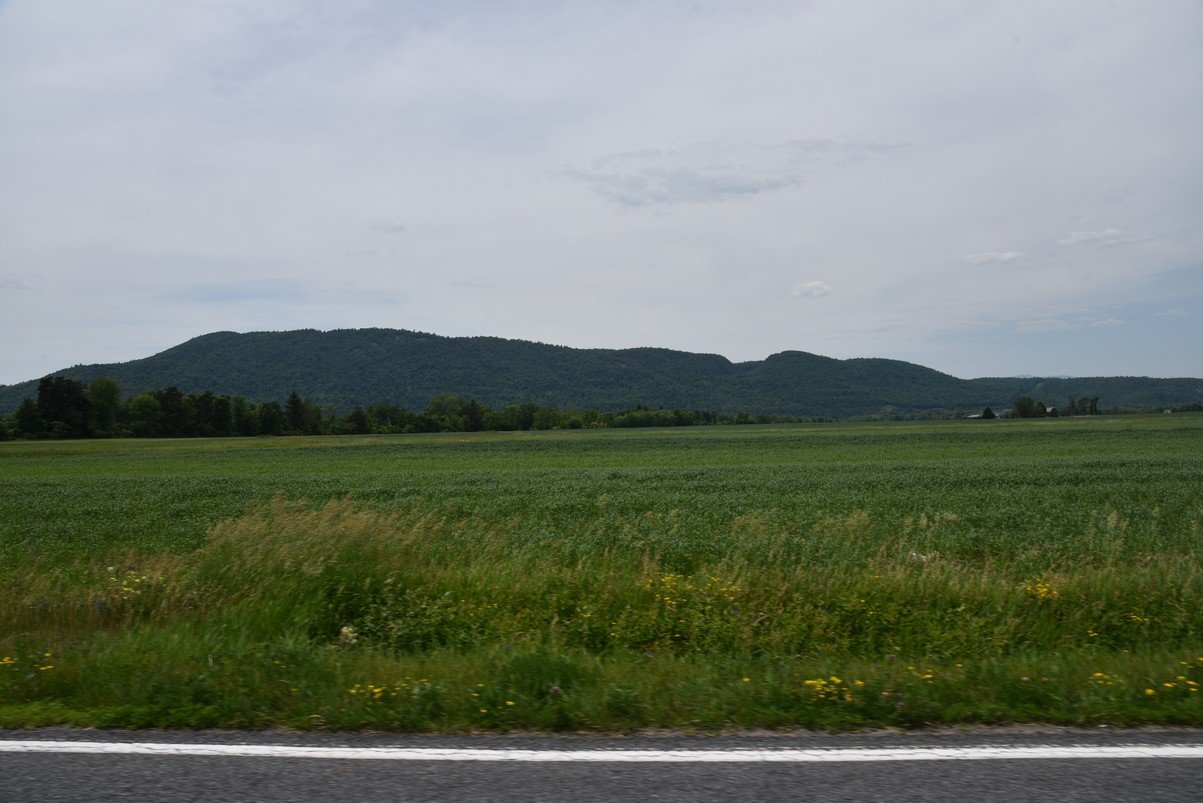 dsc_7048_fs.jpg