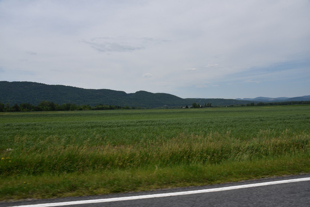 dsc_7049_fs.jpg