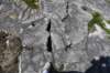 dsc_7272_fs_small.jpg