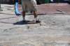 dsc_7600_fs_small.jpg
