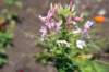 dsc_7685_fs_small.jpg
