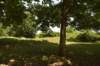dsc_7736_fs_small.jpg