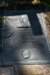 dsc_7746_fs_small.jpg