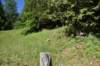 dsc_7907_fs_small.jpg