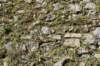 dsc_7908_fs_small.jpg