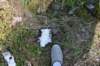 dsc_7909_fs_small.jpg