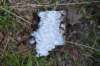 dsc_7910_fs_small.jpg
