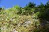 dsc_7911_fs_small.jpg