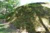 dsc_7913_fs_small.jpg