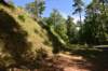 dsc_7917_fs_small.jpg
