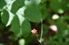 dsc_7919_fs_small.jpg