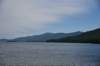 dsc_8004_fs_small.jpg