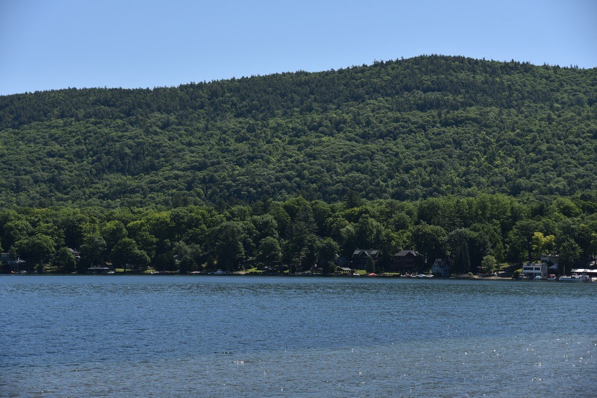 dsc_8007_fs.jpg