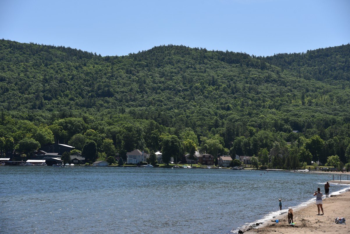 dsc_8009_fs.jpg