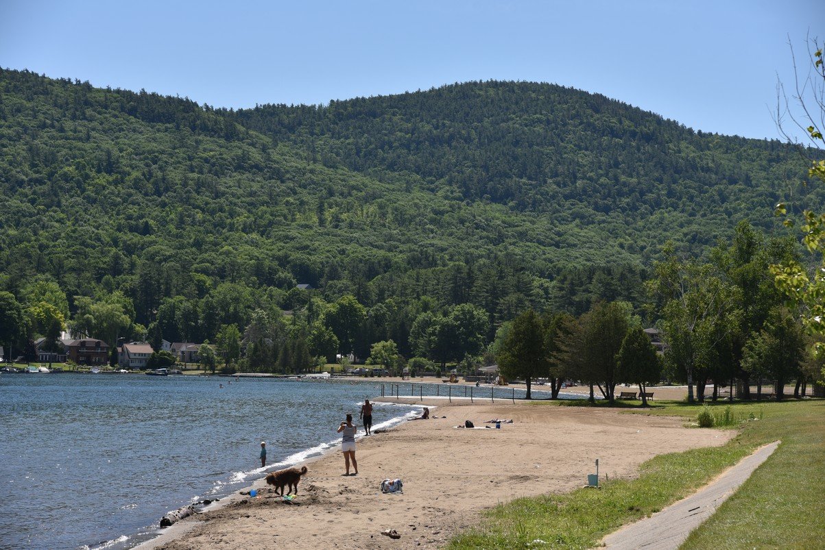 dsc_8010_fs.jpg