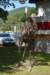 dsc_8013_fs_small.jpg