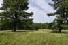 dsc_8243_fs_small.jpg