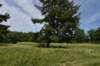 dsc_8244_fs_small.jpg