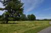 dsc_8245_fs_small.jpg