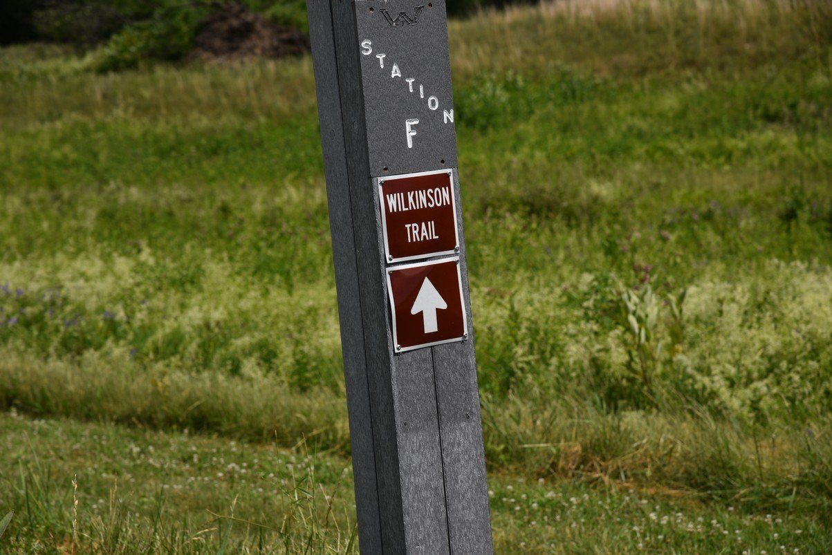 dsc_8259_fs.jpg