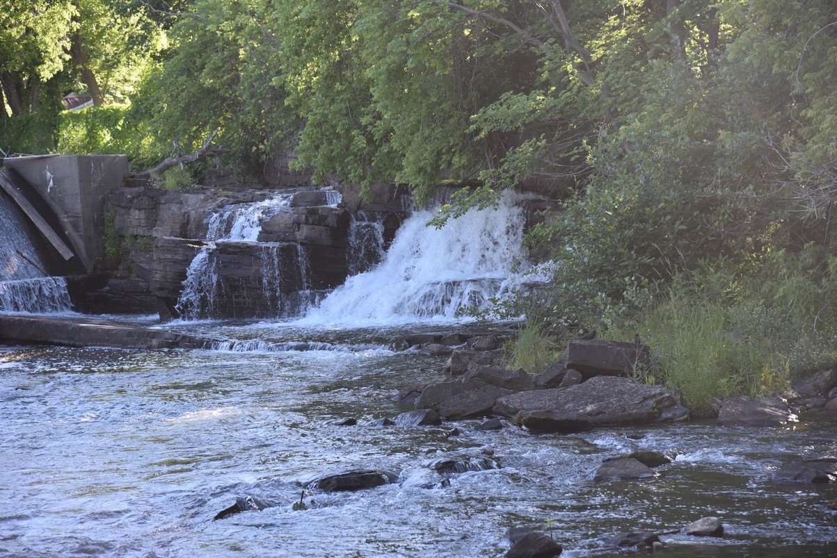 dsc_8422_fs.jpg