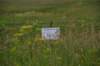 dsc_8463_fs_small.jpg