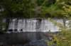 dsc_8534_fs_small.jpg