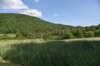 dsc_8984_fs_small.jpg