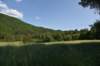 dsc_8985_fs_small.jpg