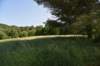 dsc_8987_fs_small.jpg