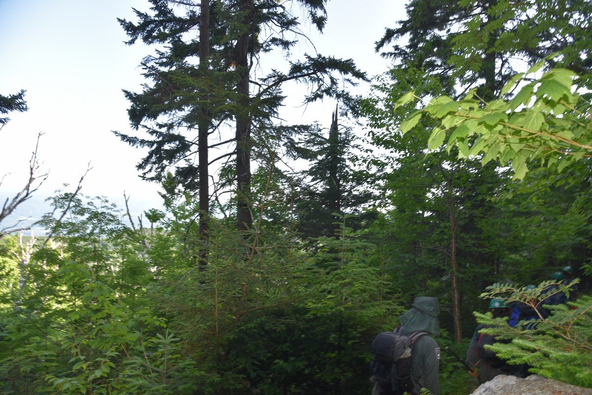 dsc_8993_fs.jpg