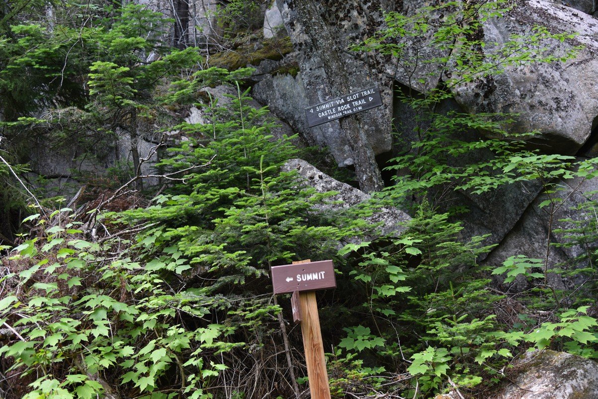 dsc_8998_fs.jpg