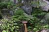 dsc_8998_fs_small.jpg
