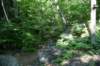 dsc_9467_fs_small.jpg