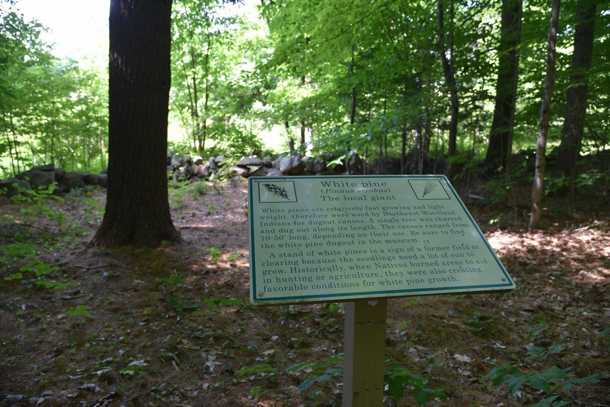 dsc_9514_fs.jpg