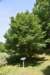 dsc_9523_fs_small.jpg