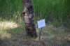 dsc_9530_fs_small.jpg