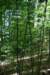 dsc_9544_fs_small.jpg