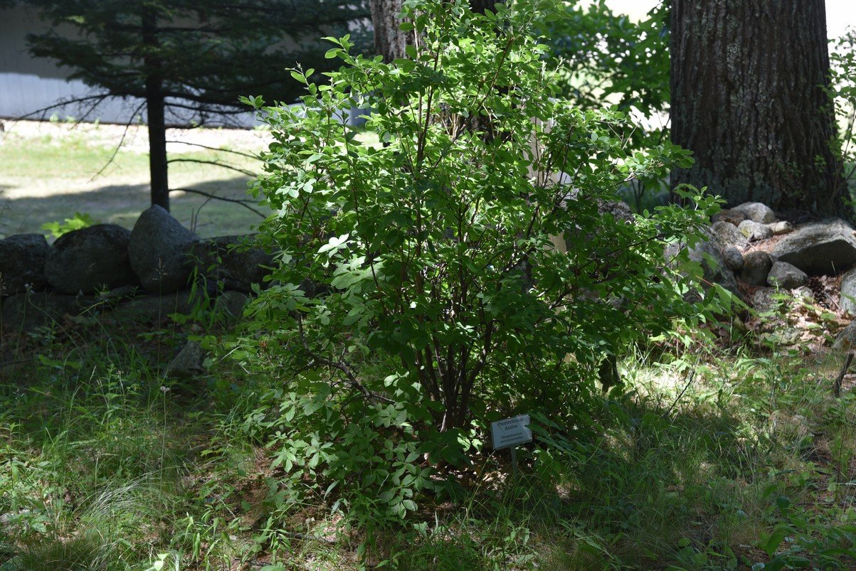 dsc_9549_fs.jpg